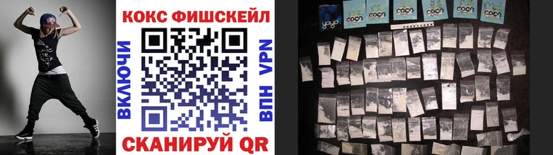 Кокаин Fish Scale  Купить закладки  Волчанск 