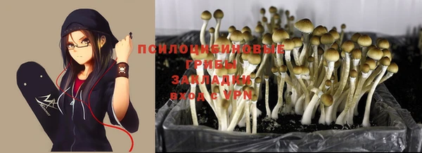 jwh Зеленокумск