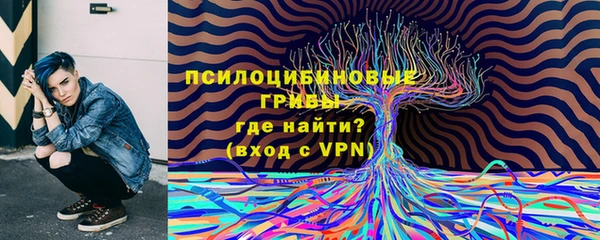 дмт Иннополис