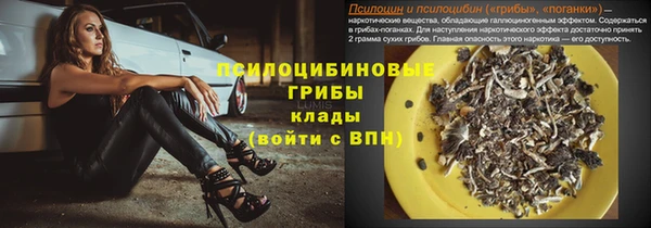 дживик Зеленодольск